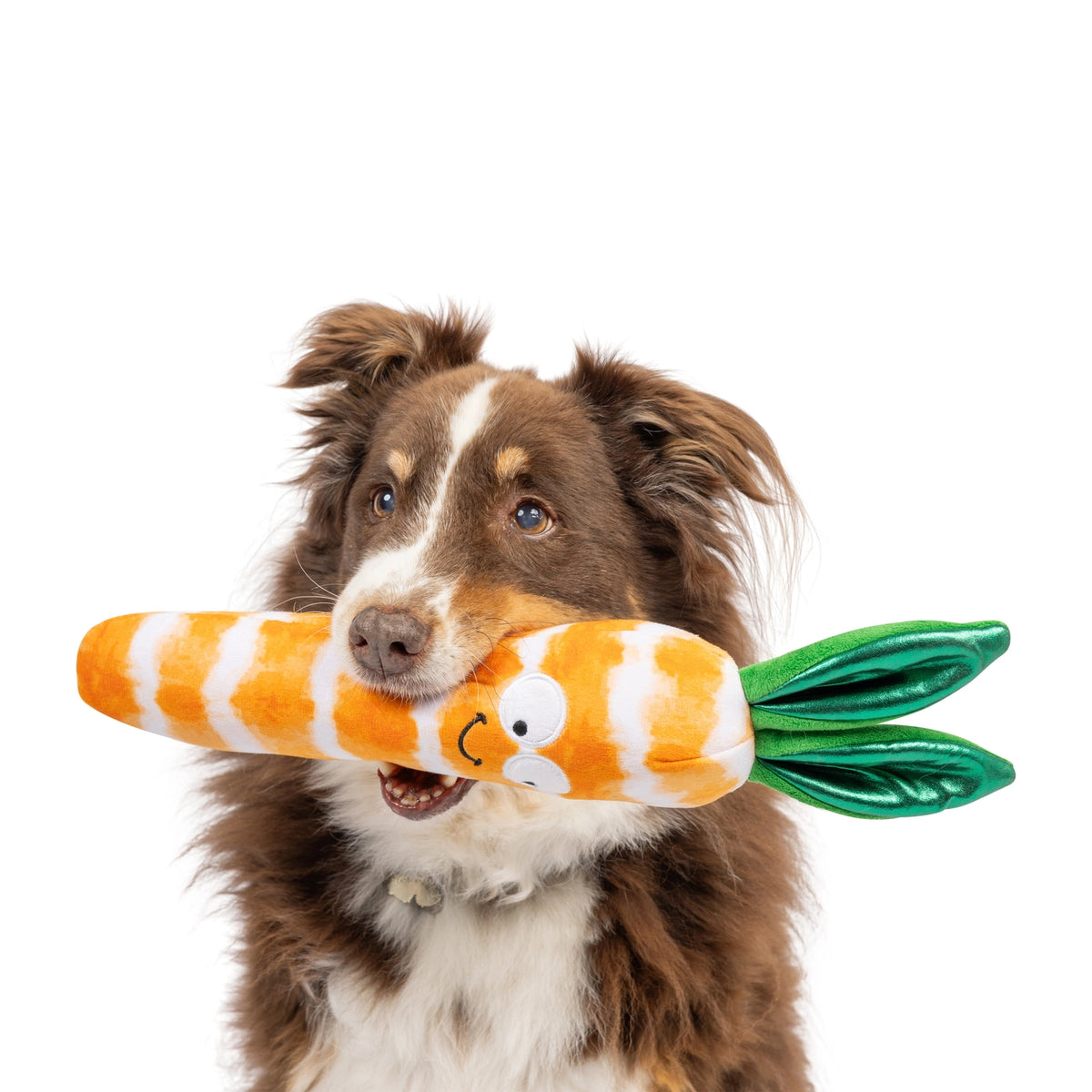 Huxley & Kent - Dog Toy Fetchies Sweet Carrot