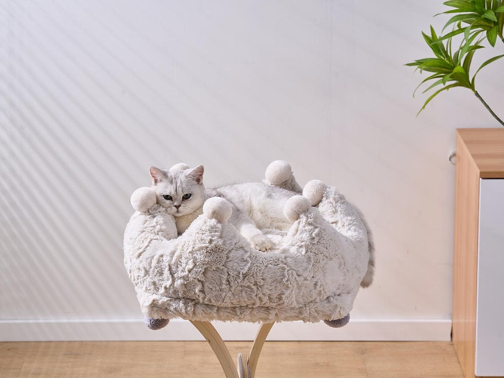PetPals - Cat Bed Crown Plush