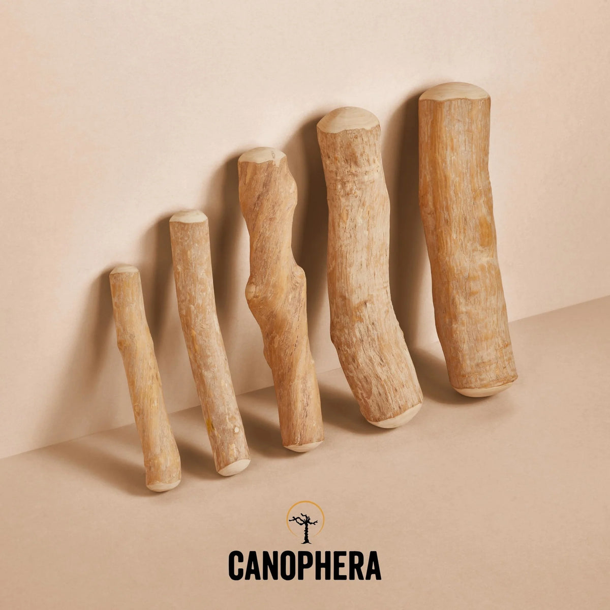 Canophera - Chew Stick Made From Coffee Tree Wood