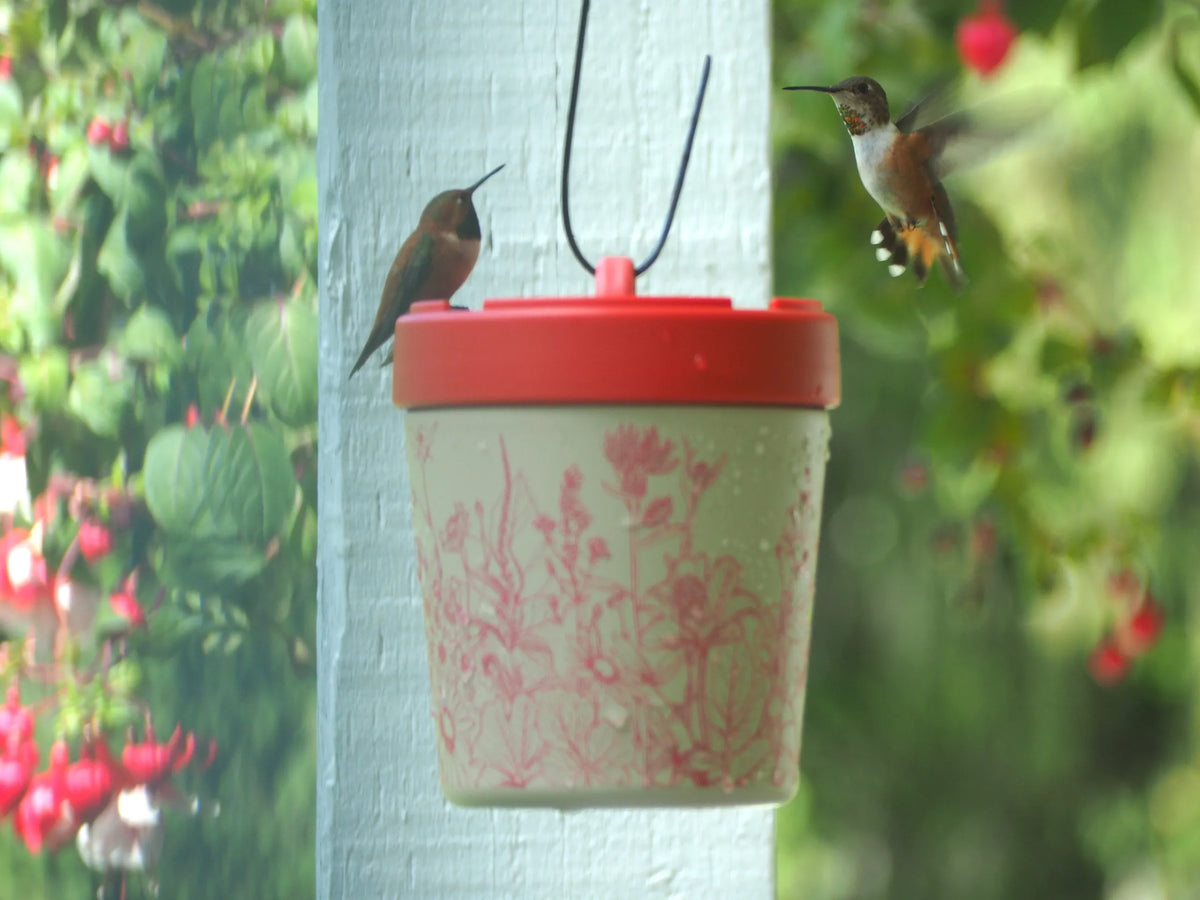 Anna's Healthy Hummingbird - Hummingbird Feeder Insulated Stainless Steel
