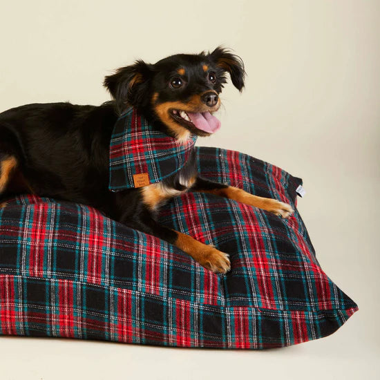 Dog Bed Georgia Plaid Holiday