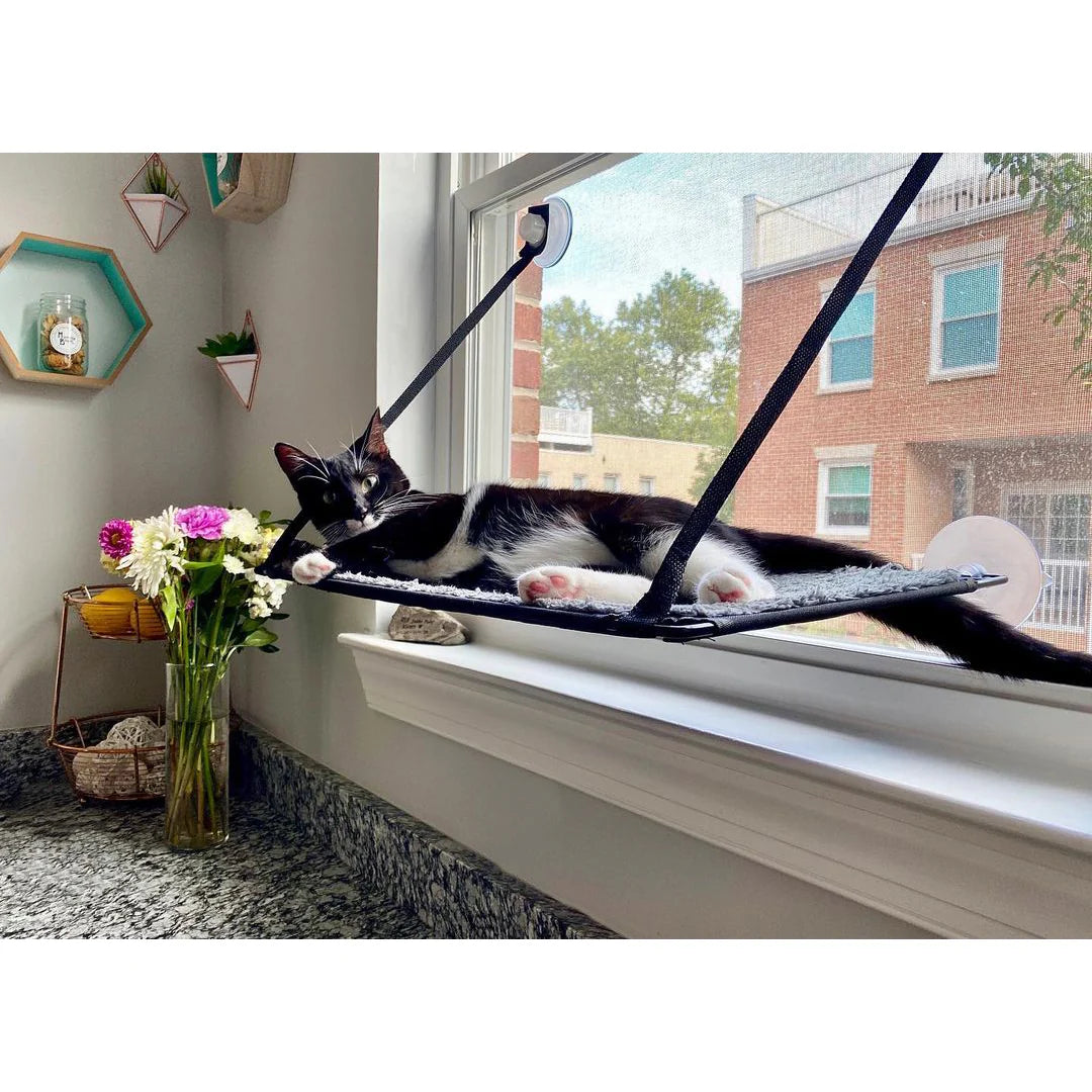 K & H Pet Products - EZ Mount Window Kitty Sill Single Level