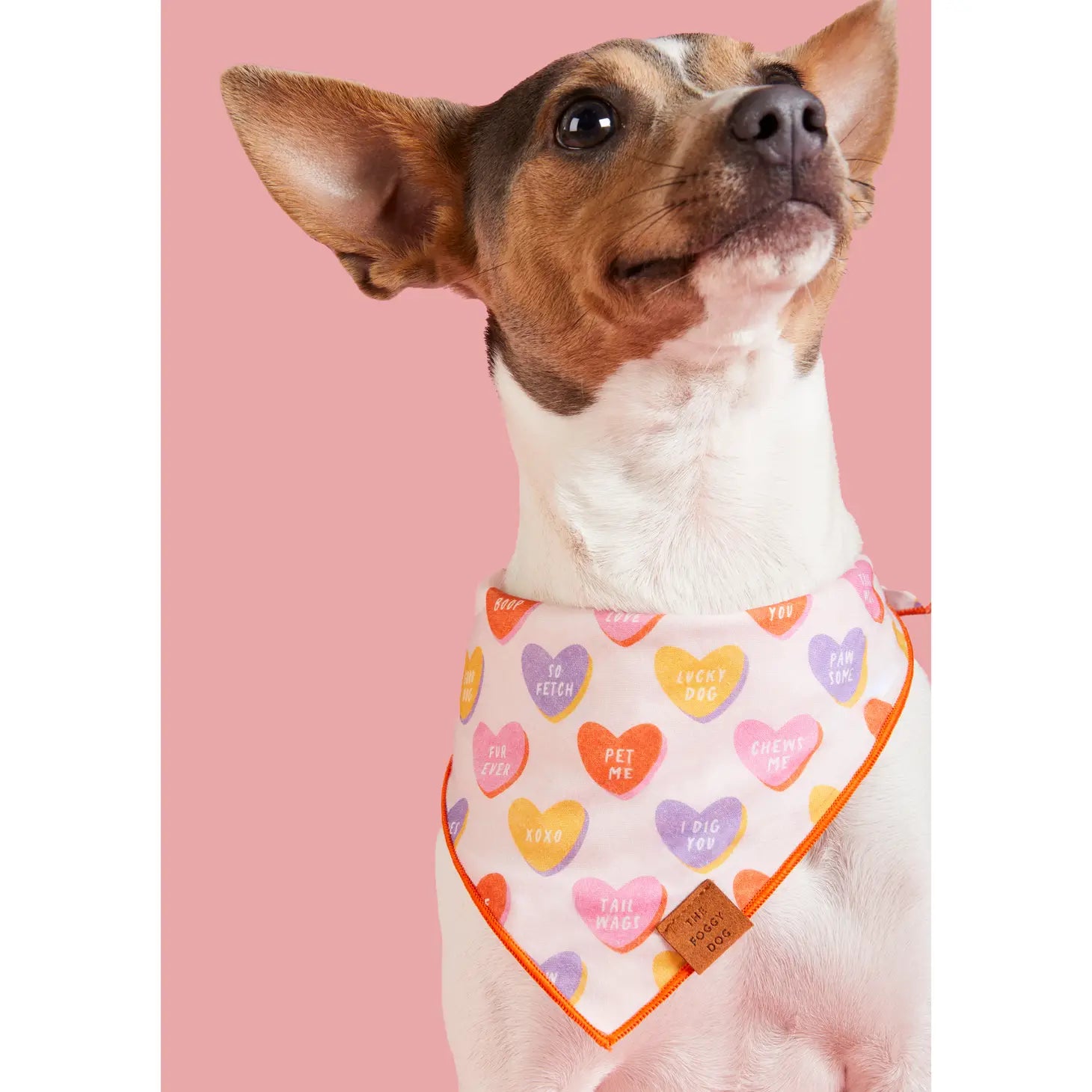 Bandana Dog Candy Hearts