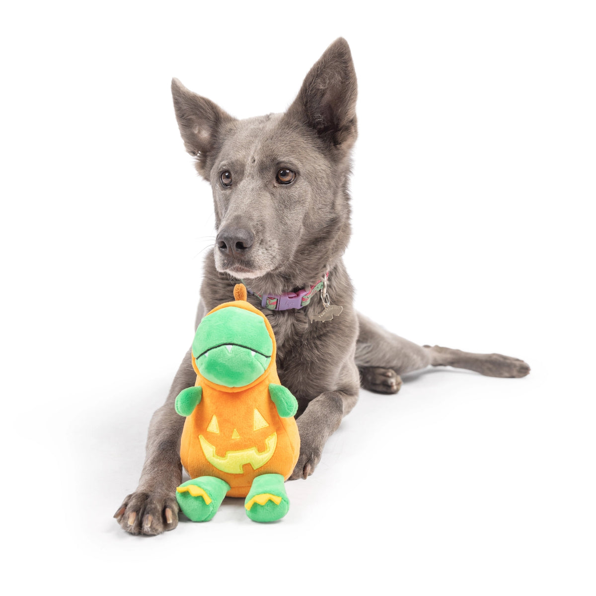 Huxley & Kent - Dog Toy Dino-Lantern