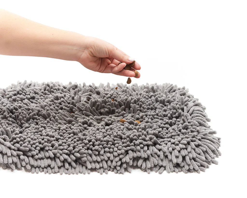 Pet Parents Forager Snuffle Mat & Slow Feeder Dog Bowl, Grey