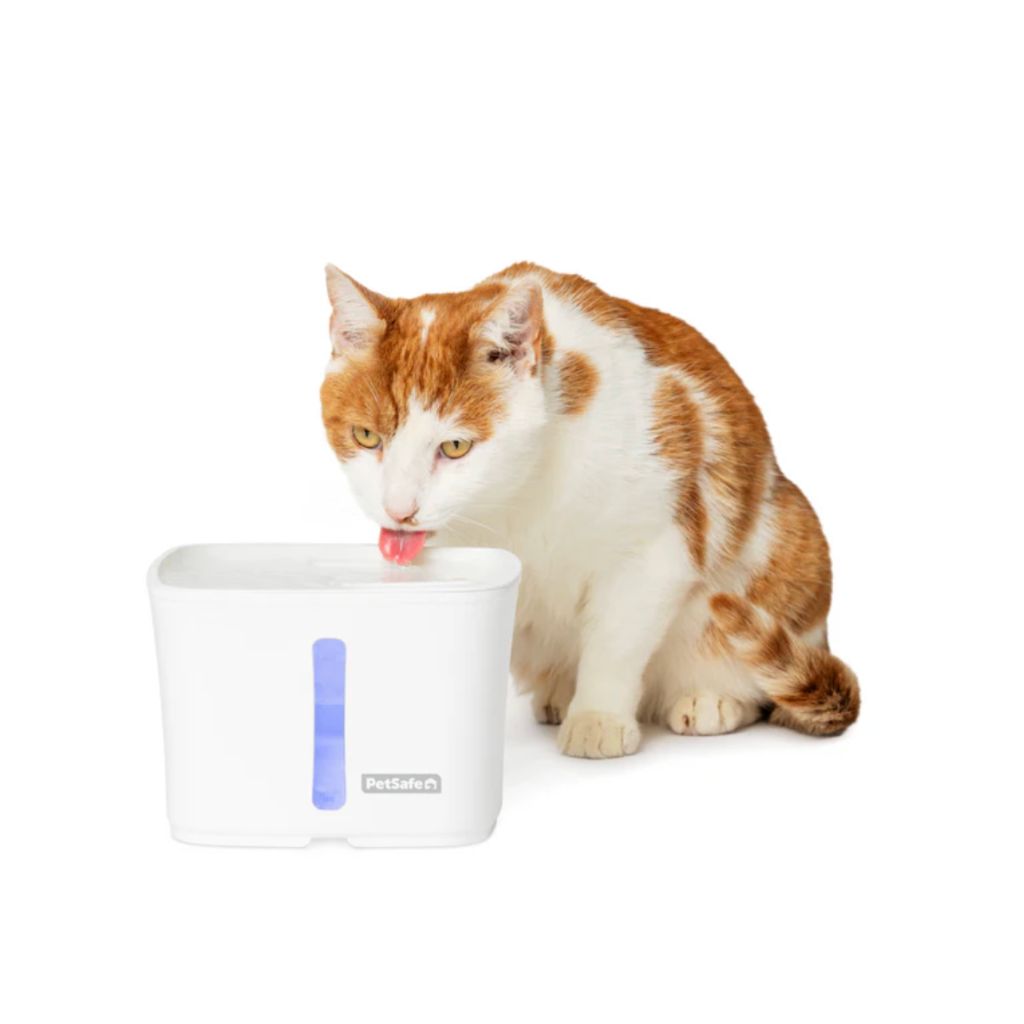 Pet Fountain Viva
