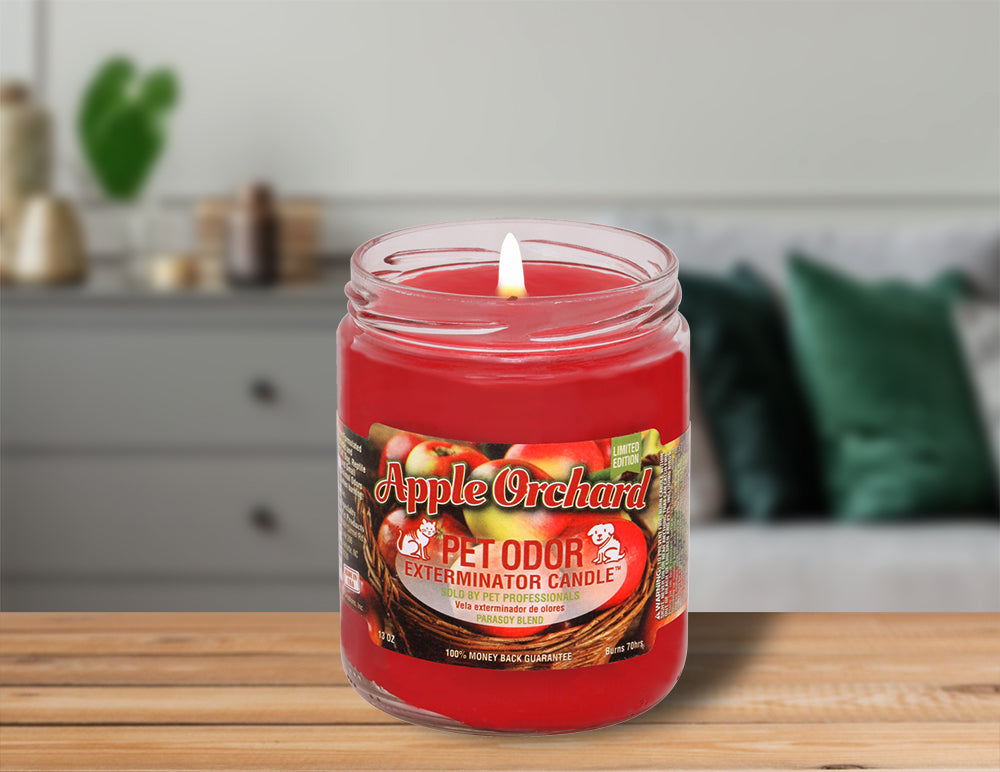 Apple Orchard Candle Pet Odor Exterminator