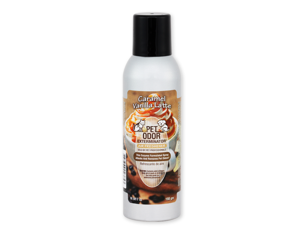 Caramel Vanilla Latte Air Freshner