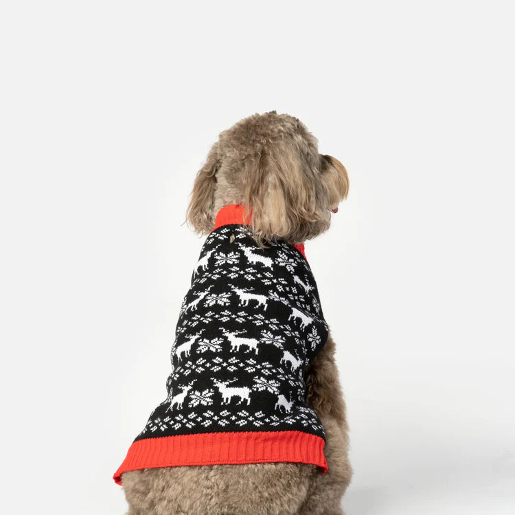 Dog online reindeer jumper