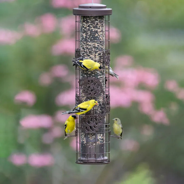 Perky Pet - Squirrel-Be-Gone Max Flexports Bronze