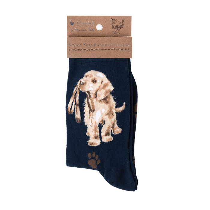 Wrendale Designs- Sock Dog "Hopeful" Navy