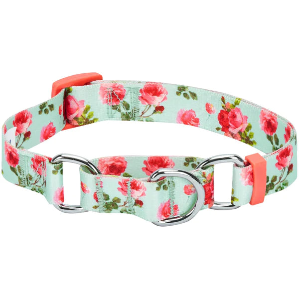 Blueberry Pet Dog Collar Martingale Turquoise Spring Scent Floral Ro