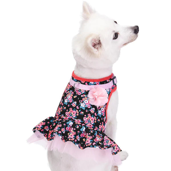 Blueberry Pet - Black | Made Well Floral Print Dog Dress Harness