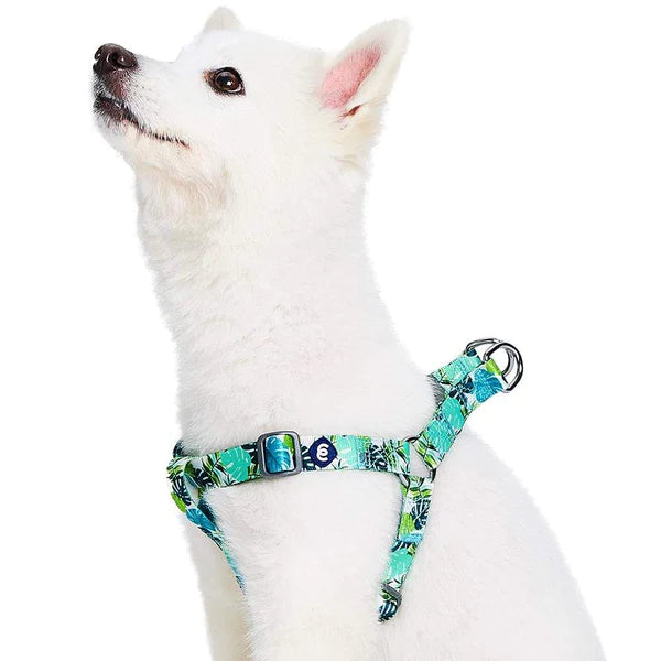 Blueberry Pet - Bahamas Vacation Dog Harness