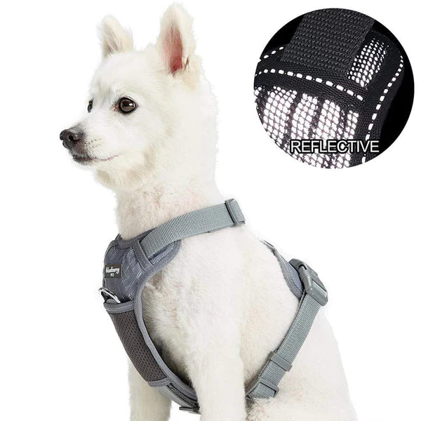 Blueberry Pet - Grey | Reflective Mesh Padded No Pull Dog Harness Vest