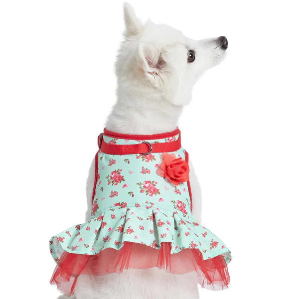 Blueberry Pet Dog Harness Vest, Dress Harness in Turquoise, Small, Cute Harness for Girl Boy Dog