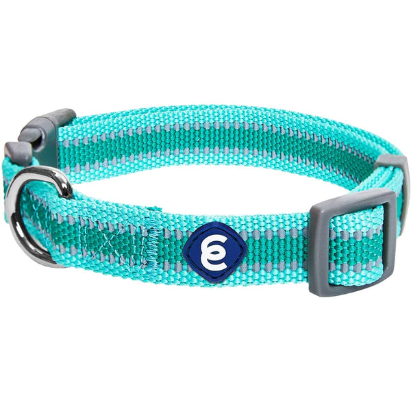Blueberry Pet - Minty Green | Back to Basics Reflective Dog Collar