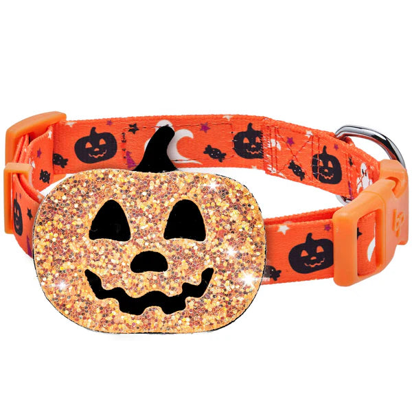 Blueberry Pet - Jack-O-Lantern | Halloween Dog Collar