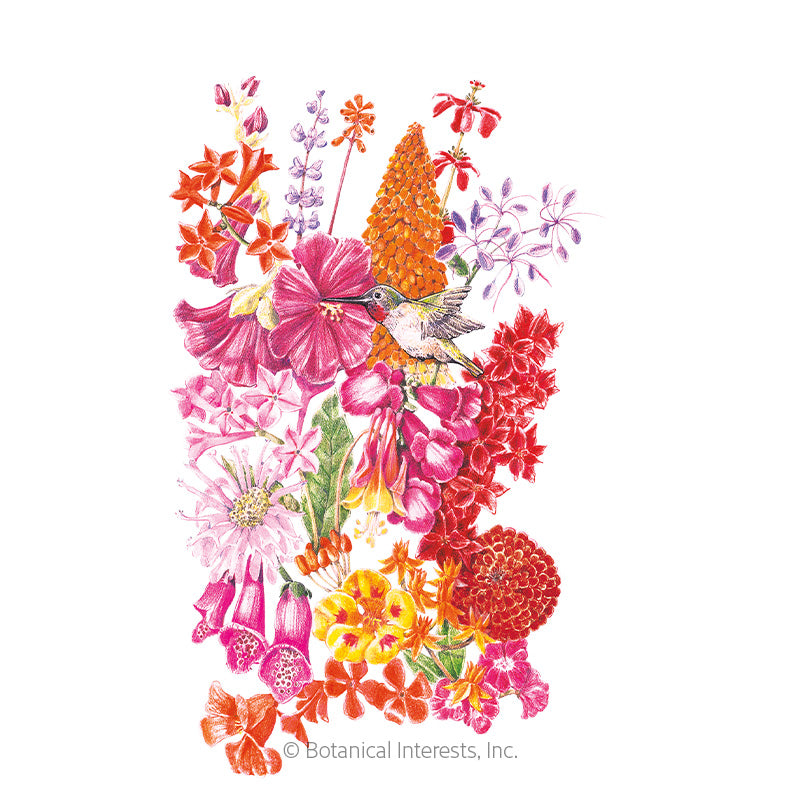 Flower Mix "Hummingbird Haven"