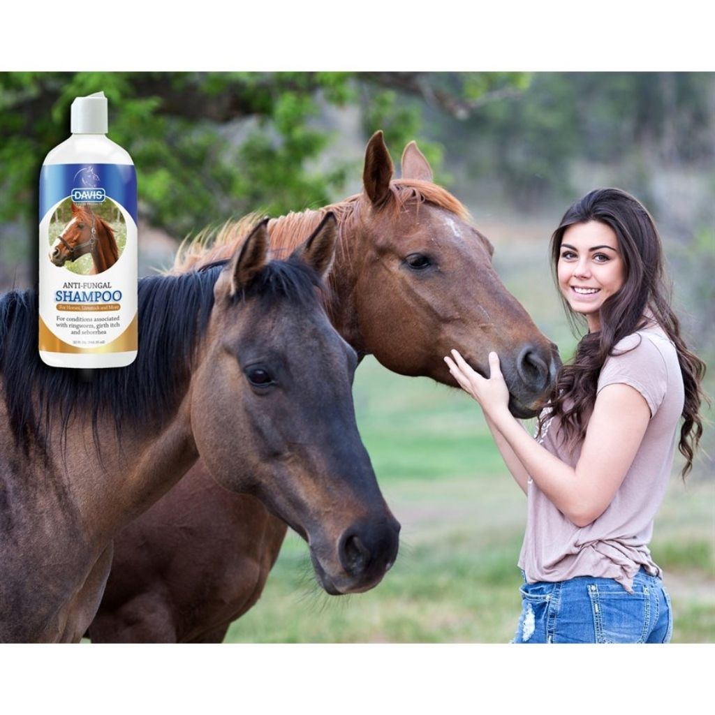 Davis Manufacturing Anti-Fungal Shampoo For Horses, Livestock & More 32 oz.-Southern Agriculture