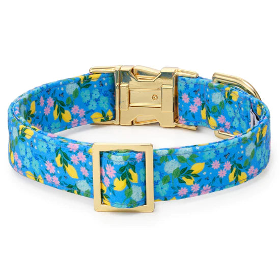 Dog Collar Bees In Bloom