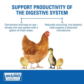 Milk Products - Sav-A-Chick Probiotic Supplement (3/.71 oz)