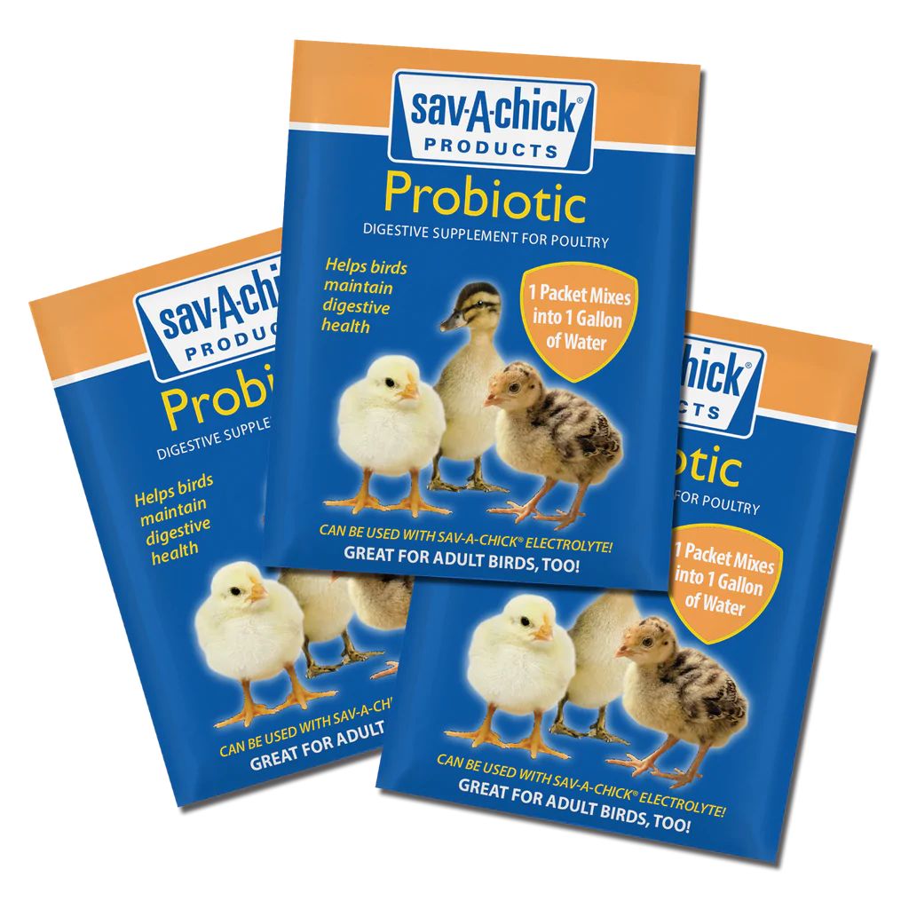Milk Products - Sav-A-Chick Probiotic Supplement (3/.71 oz)
