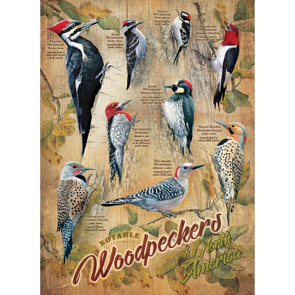 Puzzle: Notable Woodpeckers-Southern Agriculture