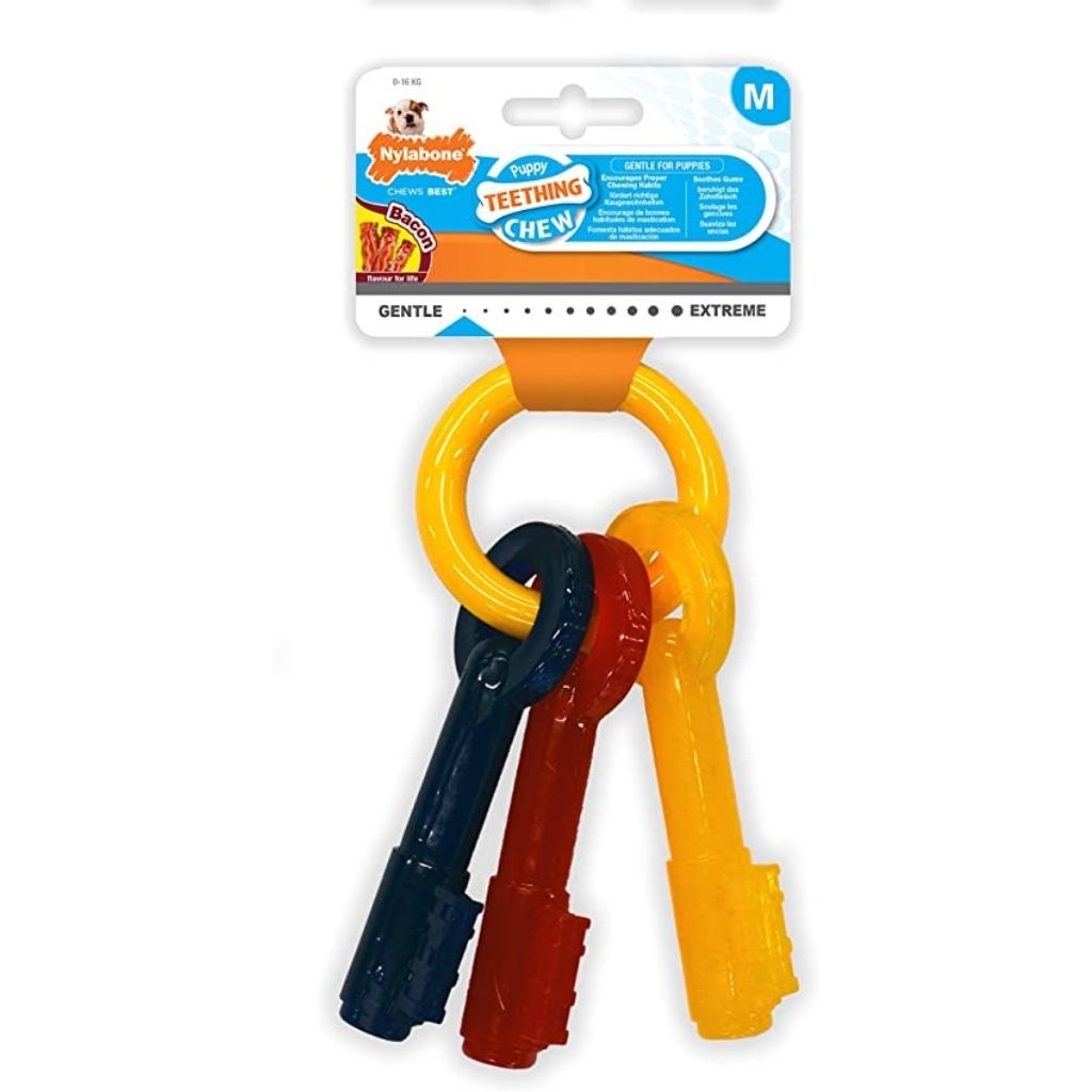 Nylabone - Puppy Chew Keys - Southern Agriculture