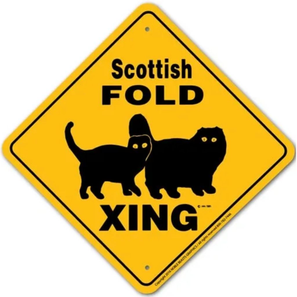 Noble Beasts - Scottish Fold Cat X-ing Sign