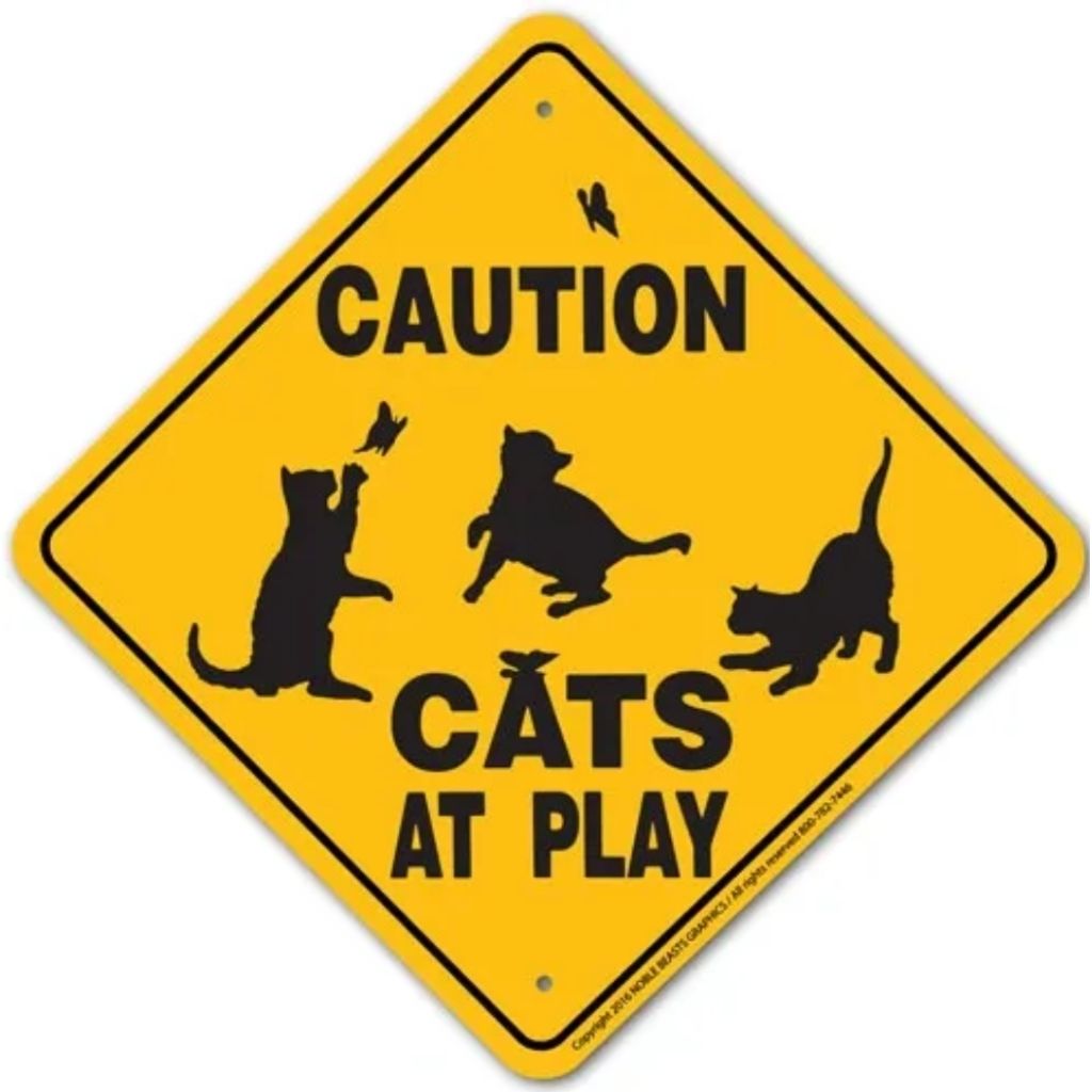 Noble Beasts - Caution Cats At Play Sign