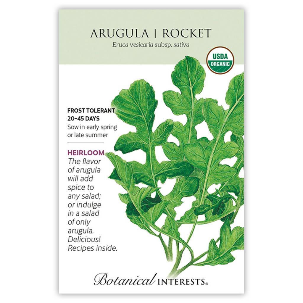 Arugula Rocket Organic