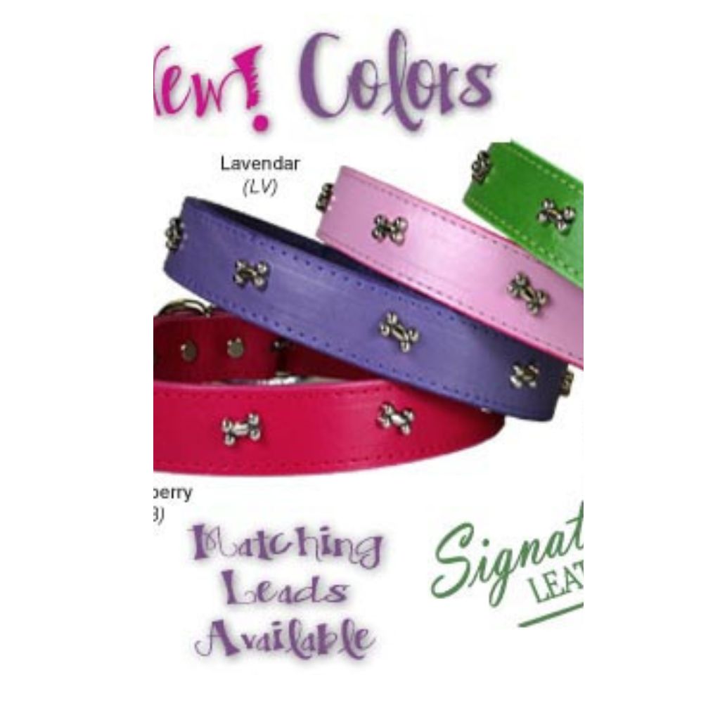 Wholesale leather clearance dog collars