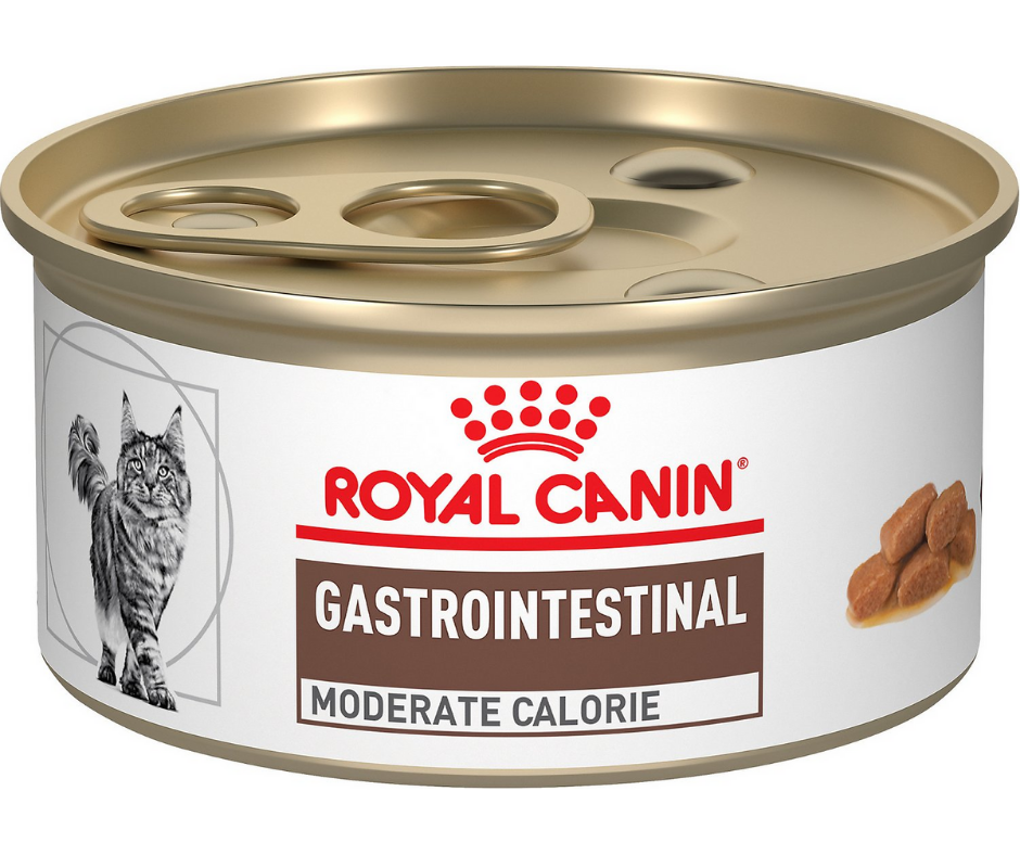 Royal Canin Veterinary Diet - Gastrointestinal, Moderate Calorie Thin Slices in Gravy Canned Cat Food-Southern Agriculture