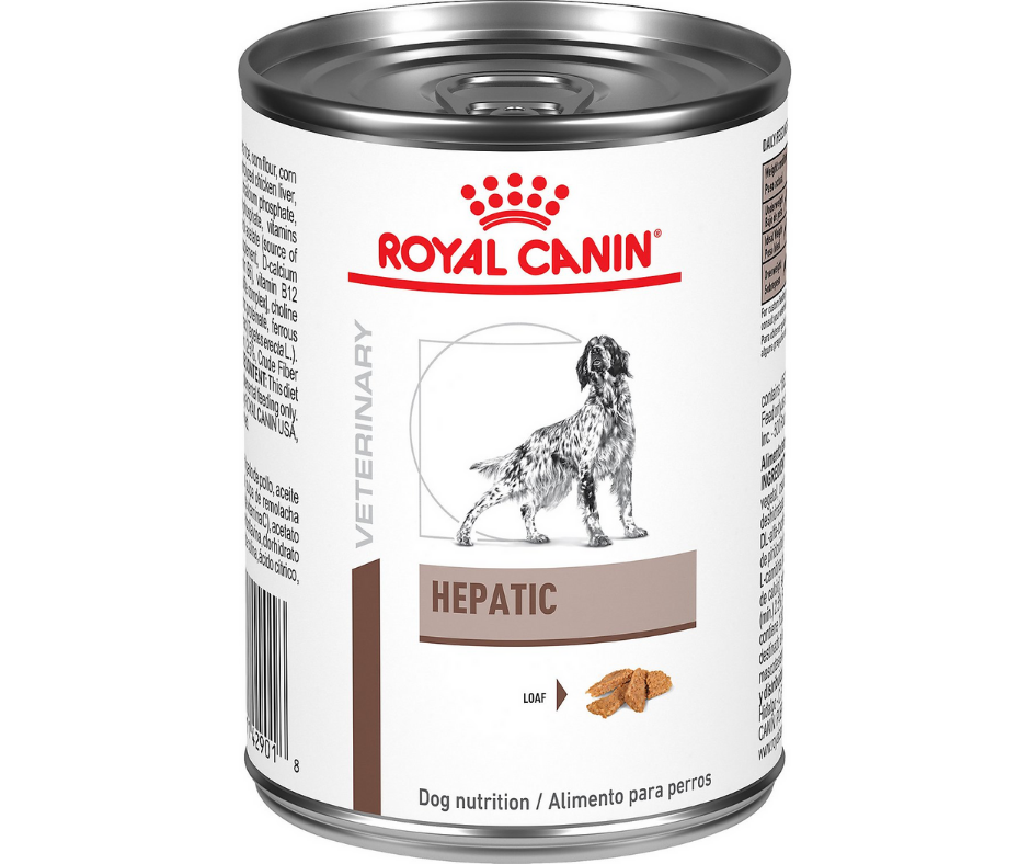 Chewy royal canin gastrointestinal high best sale energy