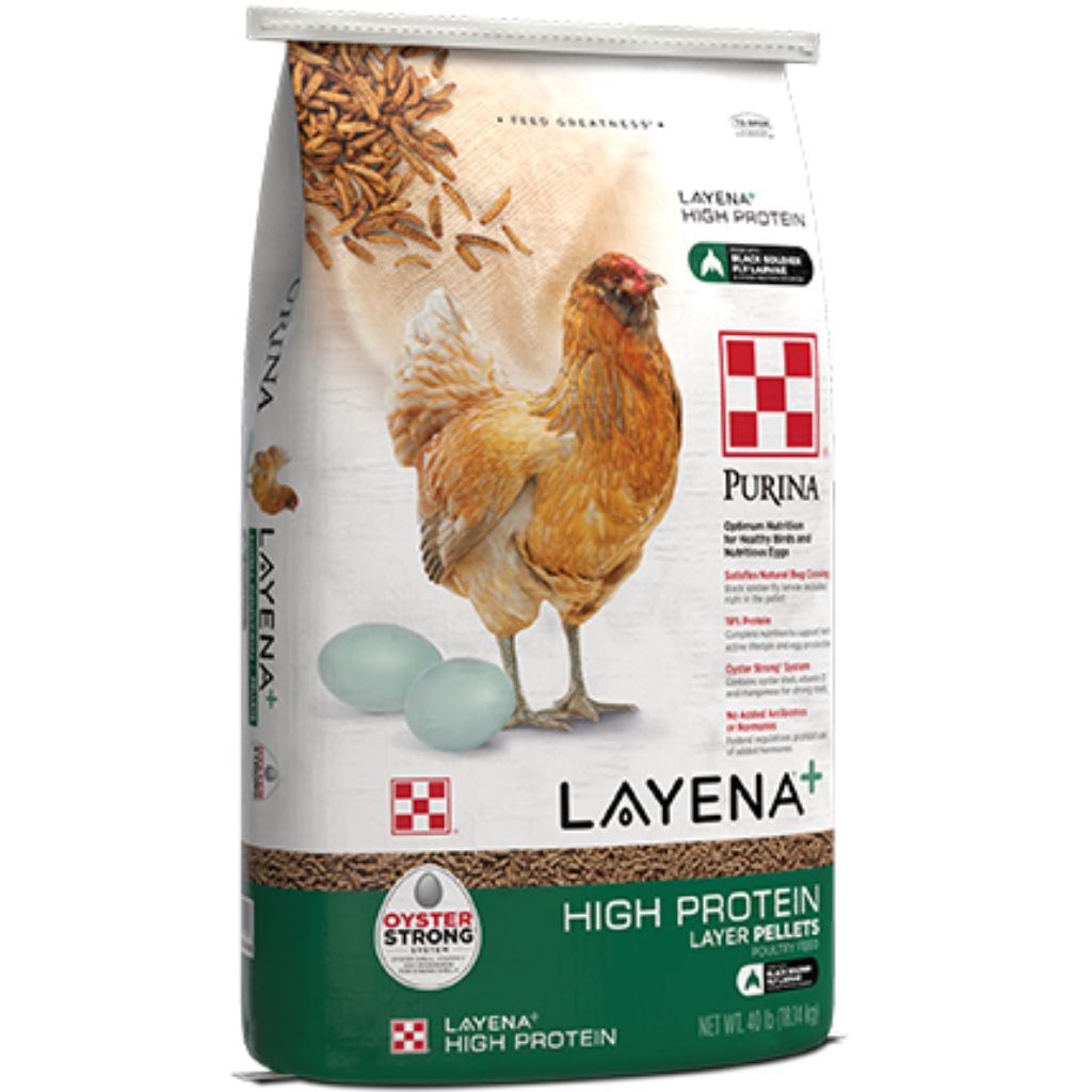 Purina Animal Nutrition - Layena + High Protein Layer Chicken Feed