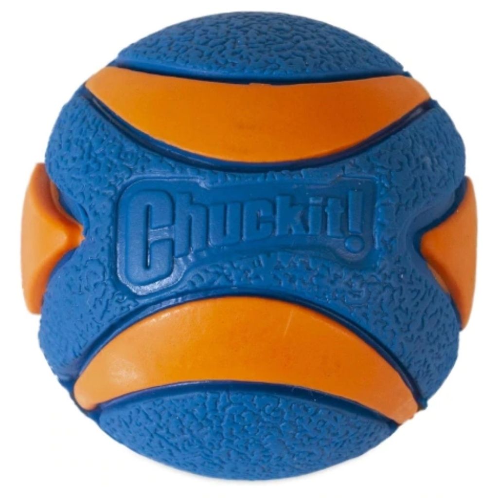 Chuckit!® Ultra Squeaker Ball Dog Toy