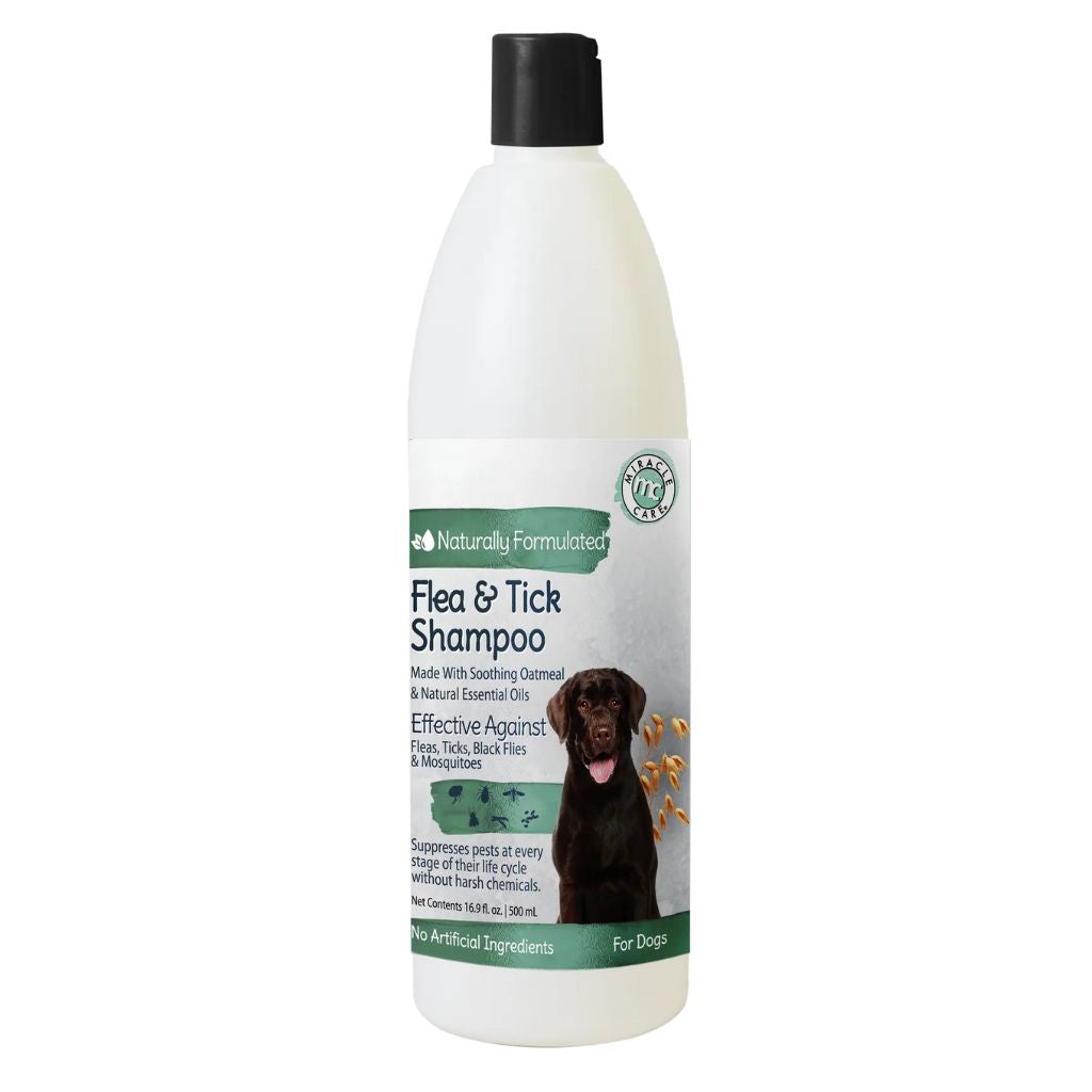 Safe flea and tick for outlet dogs