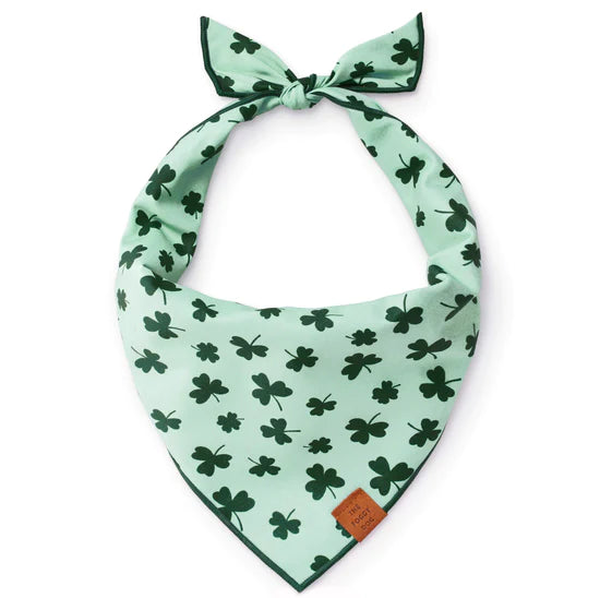 Shamrock dog outlet bandana