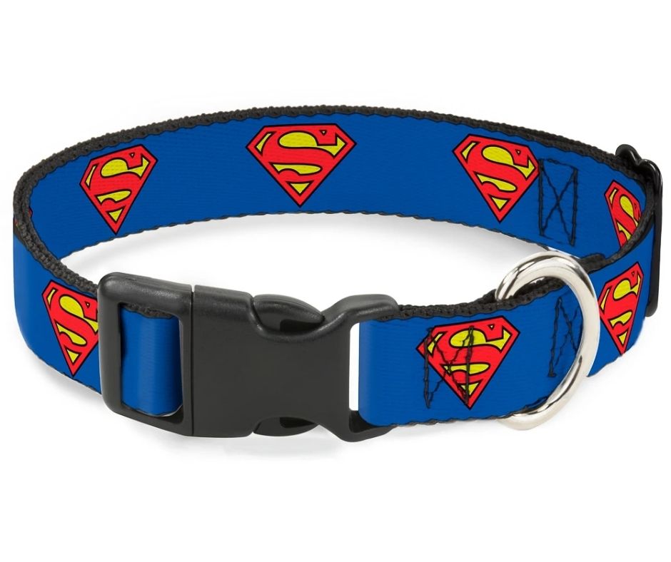Superman Shield Blue Plastic Clip, Dog Collar by Buckle-Down-Southern Agriculture
