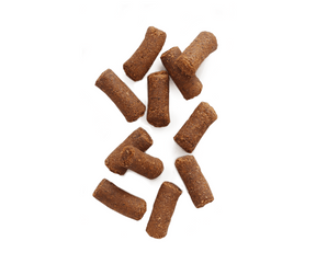 Earthborn Holistic - EarthBites Peanut Flavor Recipe. Dog Treats.-Southern Agriculture