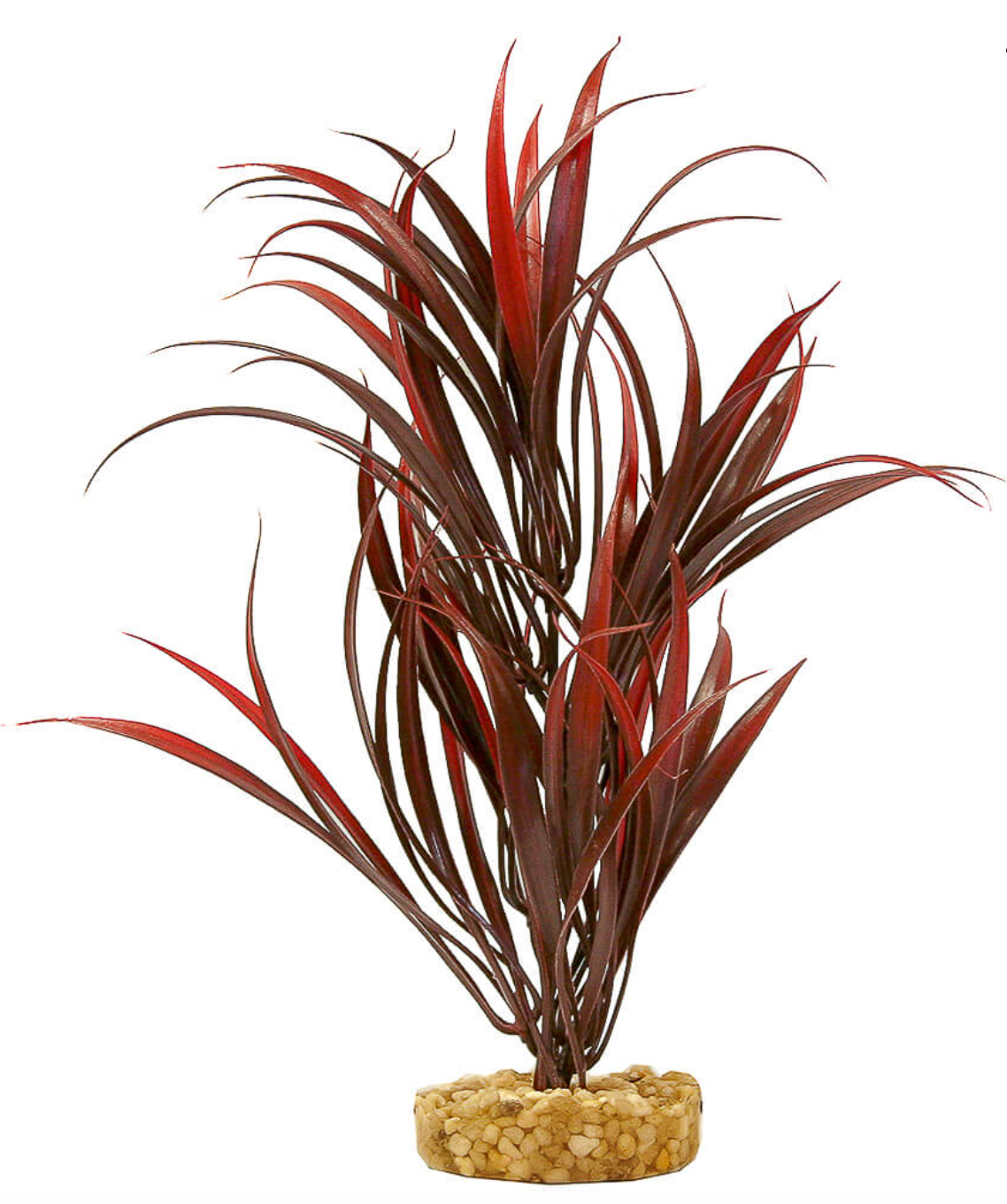 Blue Ribbon - Sword Plant Red Ornament