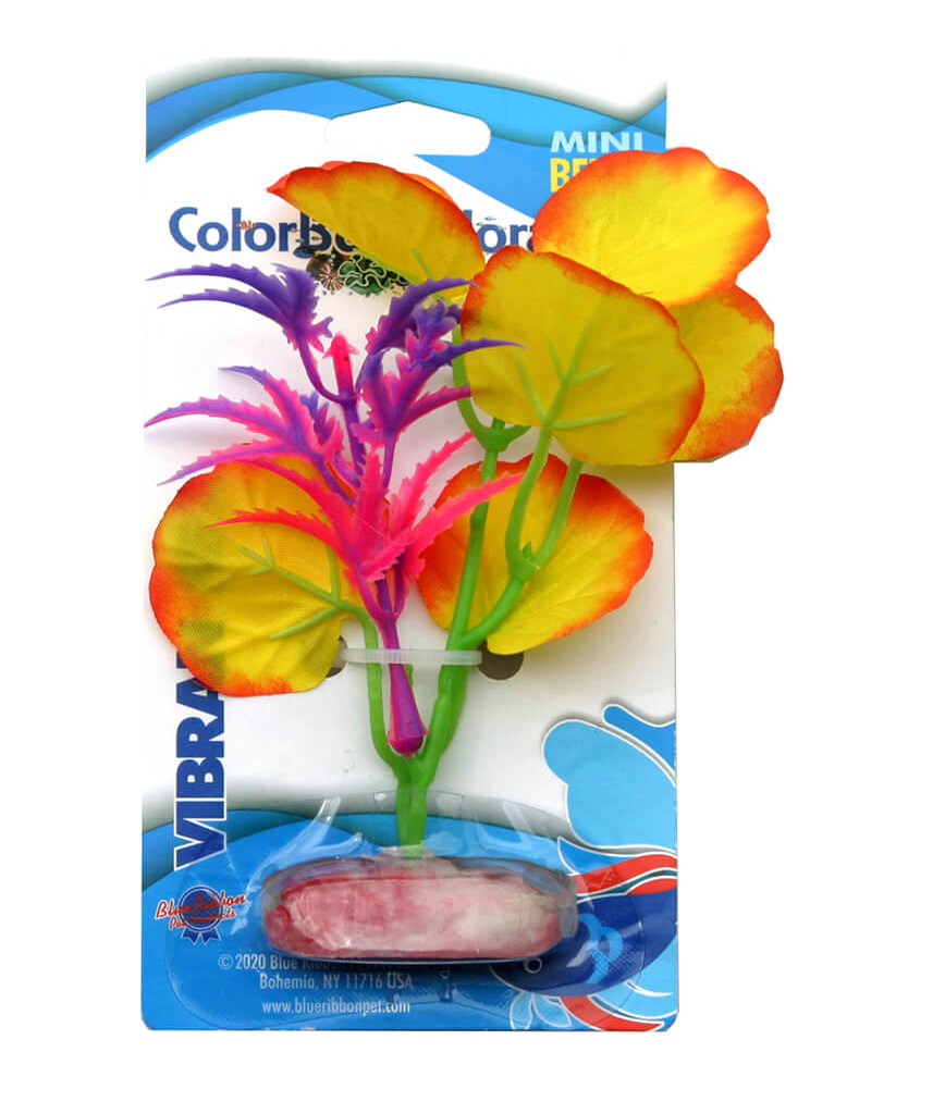 Blue Ribbon - Broad Lily Leaf Plant Yellow Silk-Style With Resin Base