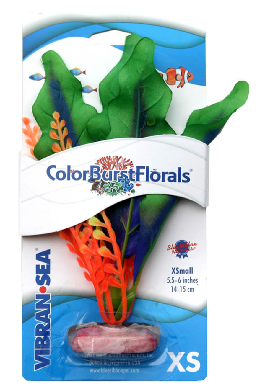 Blue Ribbon - Waffle Leaf Plant Green Silk-Style With Resin Base