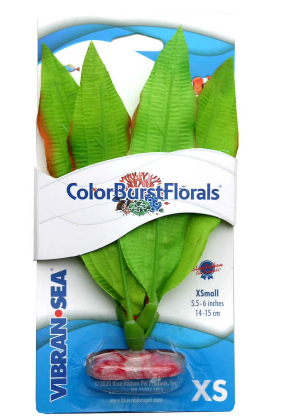 Blue Ribbon - Amazon Sword Plant Green Silk-Style With Resin Base