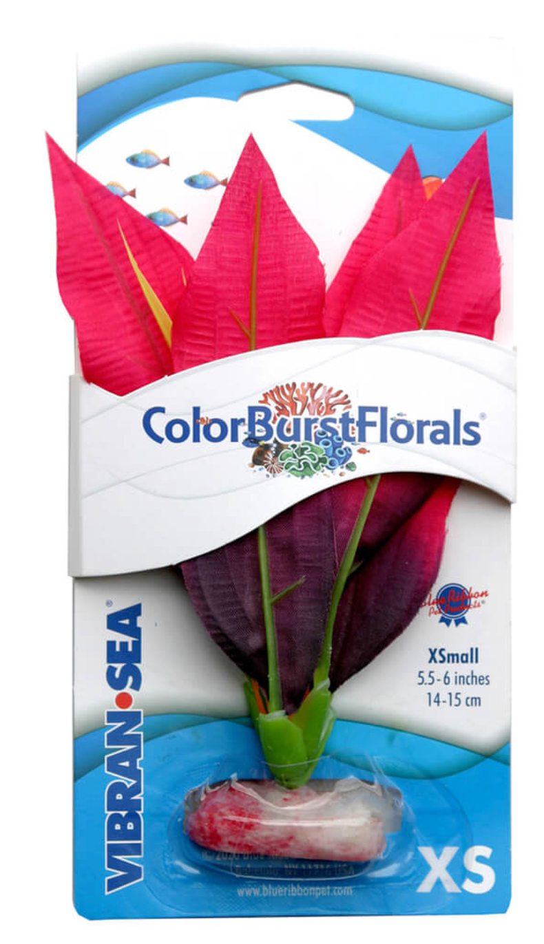 Blue Ribbon - Amazon Sword Plant Red Silk-Style With Resin Base