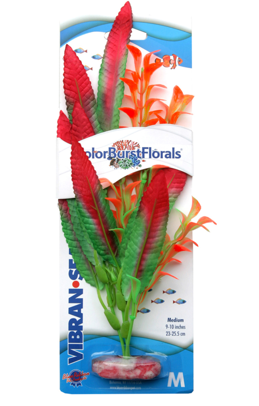 Blue Ribbon - Crispus Plant Red Silk-Style With Resin Base