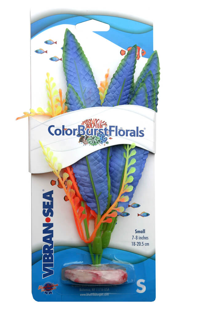 Blue Ribbon - Crispus Plant Blue Silk-Style With Resin Base