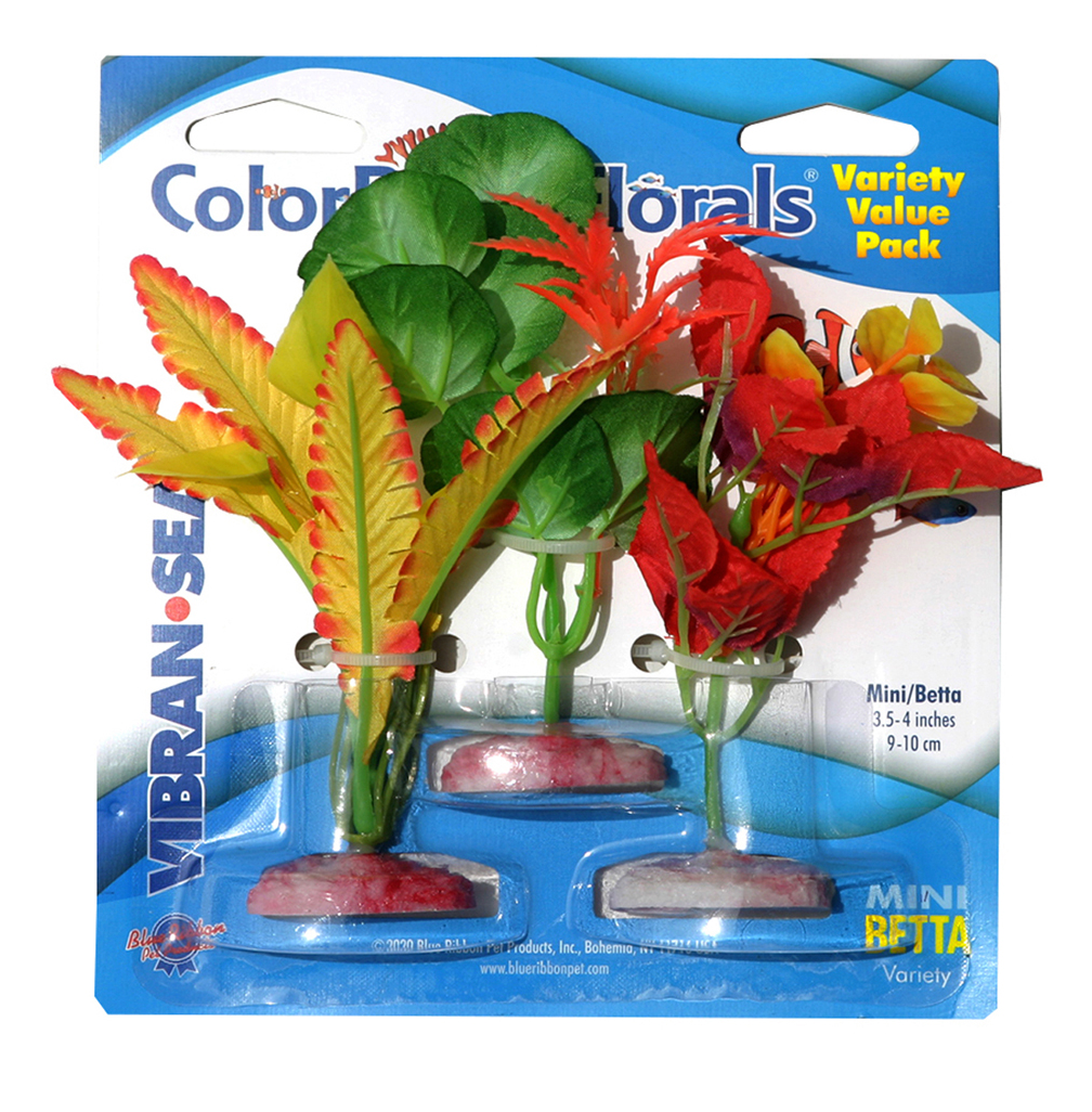 Blue Ribbon - Variety Pack Plants Betta/Mini Color Burst Florals Silk-Style MINI