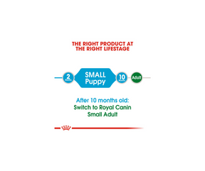 Royal Canin - Small Puppy Dry Dog Food-Southern Agriculture
